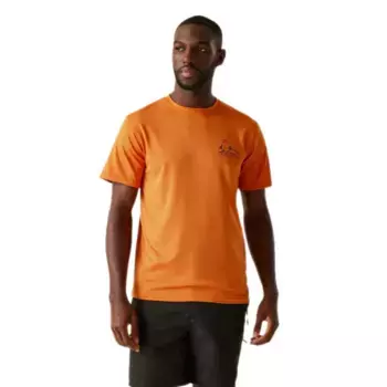 Футболка с коротким рукавом Regatta Fingal IX, оранжевый