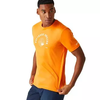 Футболка с коротким рукавом Regatta Fingal Slogan III, оранжевый