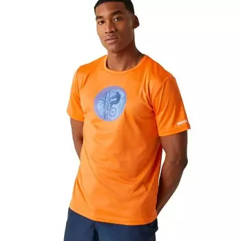 Футболка с коротким рукавом Regatta Fingal VIII, оранжевый