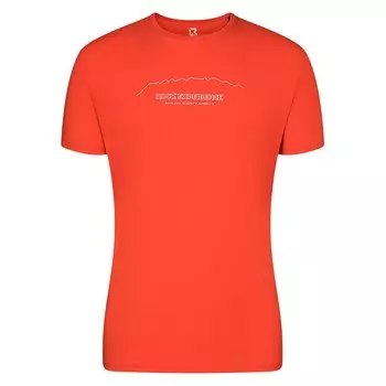 Футболка с коротким рукавом Rock Experience Echo Wall, оранжевый