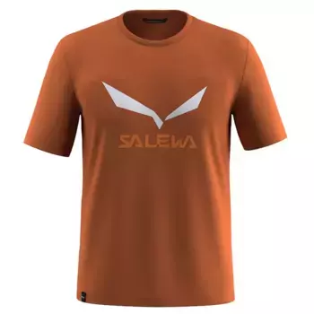 Футболка с коротким рукавом Salewa Solidlogo Dry, коричневый