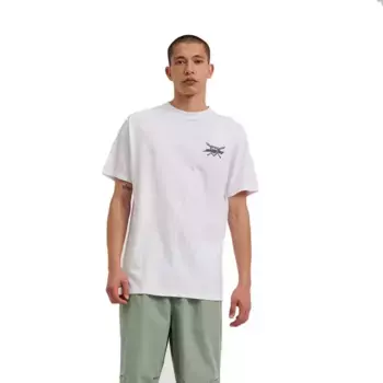 Футболка с коротким рукавом Santa Cruz Salba screaming witch doc, белый