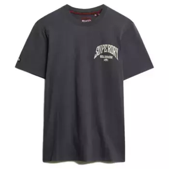 Футболка с коротким рукавом Superdry Biker Rock Relaxed Fit, серый
