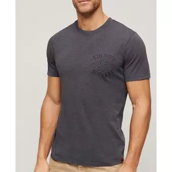 Футболка с коротким рукавом Superdry Retro Rocker Graphic, серый