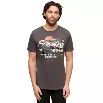 Футболка с коротким рукавом Superdry Tokyo Vl, серый