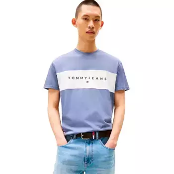 Футболка с коротким рукавом Tommy Jeans Linear Logo Regular Fit, синий