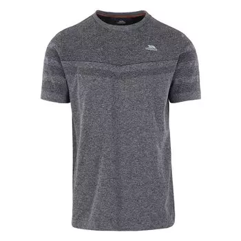 Футболка с коротким рукавом Trespass Chenab, серый