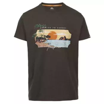 Футболка с коротким рукавом Trespass Pendla, коричневый