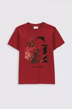 Футболка с короткими рукавами Coccodrillo Harry Potter, темно-бордовый