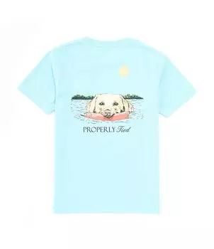 Футболка с короткими рукавами и рисунком «Пружинный ретривер» для маленьких мальчиков 2–7 лет Properly Tied, синий