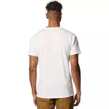 Футболка с короткими рукавами MHW 1993 Bear мужская Mountain Hardwear, цвет Fogbank