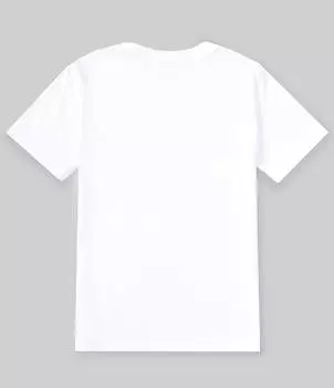 Футболка с короткими рукавами Quiksilver Big Boys 8–20 BTO, белый