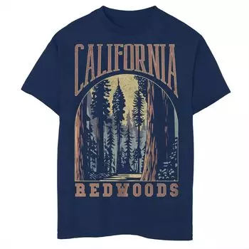 Футболка с краской California Redwoods для мальчиков 8–20 лет Licensed Character
