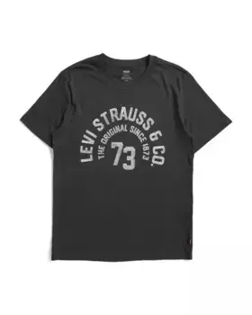 Футболка с круглым вырезом и графическим рисунком Levis, цвет Caviar