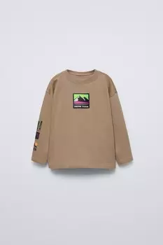 Футболка с лейблом «гора» ZARA, коричневый/серо-коричневый