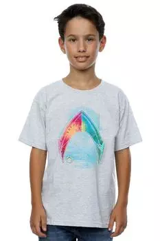 Футболка с логотипом Aquaman Mera DC Comics, серый