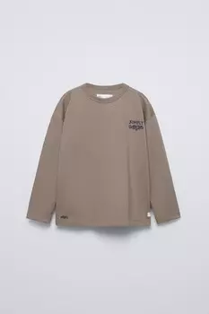 Футболка с лозунгом ZARA, коричневый/серо-коричневый