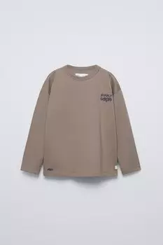 Футболка с лозунгом ZARA, коричневый/серо-коричневый