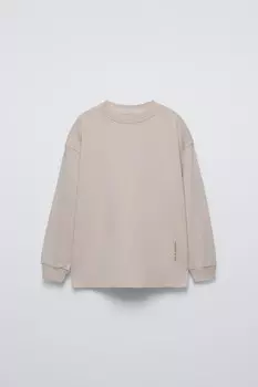 Футболка с лозунгом ZARA, серо-коричневый