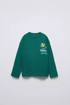 Футболка с матом гренингом из симпсонов ZARA, зеленый