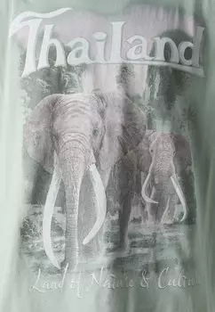 Футболка с набивным рисунком American Auto Hollister Co., зеленая