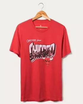 Футболка с открыткой Bulls NBA Junk Food Clothing, цвет licorice