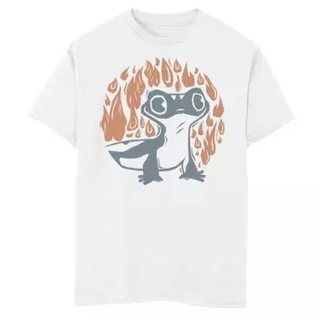 Футболка с портретом Disney's Frozen 2 для мальчиков 8–20 лет «Саламандра в огне» Disney