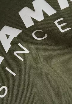 Футболка с принтом ALNASCA KNIT III LOW WOMEN Mammut, зеленый