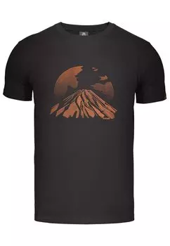 Футболка с принтом Alpinus, темно-серый