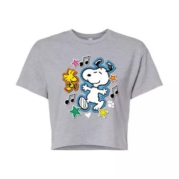 Футболка с принтом "Арахис" и нашивками Snoopy & Woodstock для подростков Licensed Character, серый