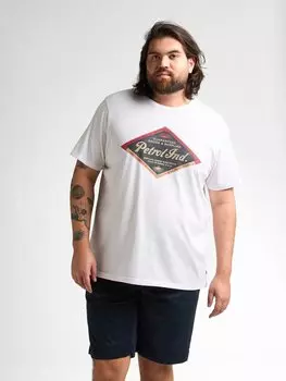 Футболка с принтом ARTWORK VISTA Petrol Industries, белый