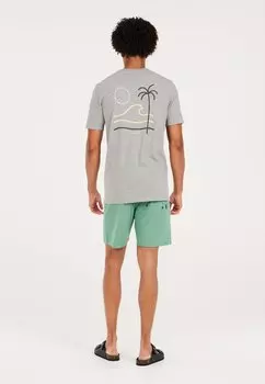 Футболка с принтом Aston Protest, темно-серая мили