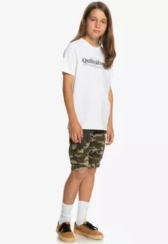 Футболка с принтом BETWEEN THE LINES SS YTH Quiksilver, белый