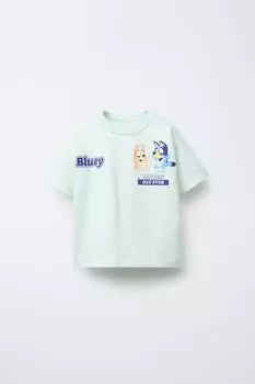 Футболка с принтом bluey ludo studio ZARA, светло-зеленый