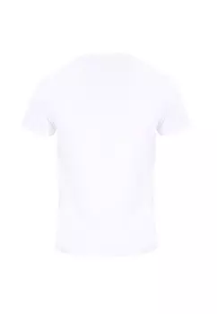 Футболка с принтом DEMON SLAYER INOSUKE TRI Henry Tiger, белый