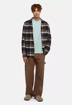 Футболка с принтом Dickies, светло-голубой