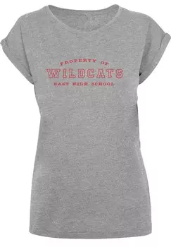 Футболка с принтом DISNEY HIGH SCHOOL MUSICAL THE MUSICAL PROPERTY OF WILDCATS F4NT4STIC, серый