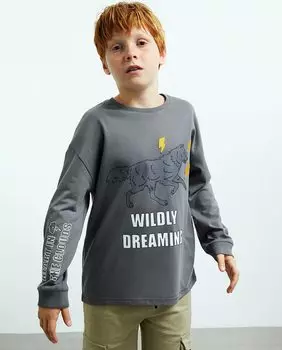 Футболка с принтом для мальчика Sfera, серый