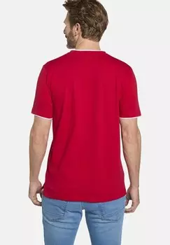 Футболка с принтом FLEMMING Jan Vanderstorm, красный