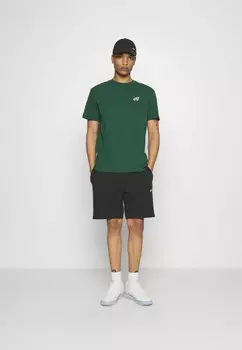 Футболка с принтом ФУТБОЛКА SIGNATURE UNISEX Tommy Jeans, студенческий зеленый