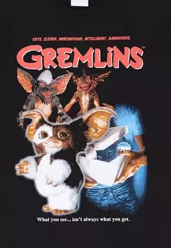 Футболка с принтом Gremlins Homeage Style Henry Tiger, черная