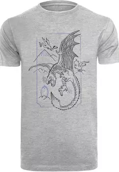 Футболка с принтом HARRY POTTER DRAGON LINE ART F4NT4STIC, серый