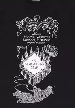 Футболка с принтом HARRY POTTER MARAUDERS MAP Harry Potter, черный