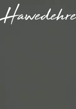 Футболка с принтом HAWEDEHRE watapparel, хаки