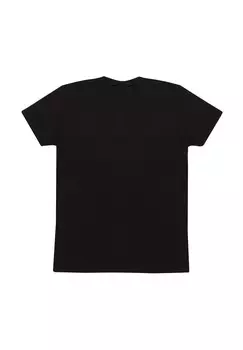 Футболка с принтом JIMI HENDRIX ARE YOU EXPERIENCED Henry Tiger, черный