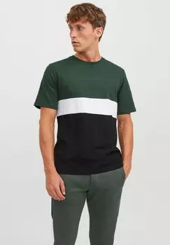 Футболка с принтом JJEREID BLOCKING NOOS Jack & Jones, вид на горы
