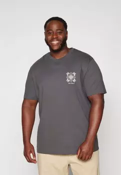 Футболка с принтом JORHAWTHORNE CRAFTED TEE Jack & Jones, серый