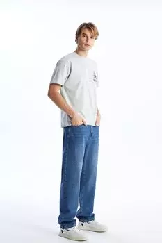 Футболка с принтом Lc Waikiki, серый