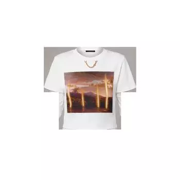 Футболка с принтом Louis Vuitton x Laurent Grasso, желтый