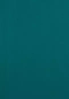 Футболка с принтом MANICA CORTA Freddy, зеленый